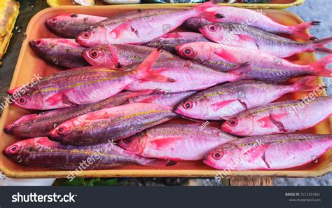 dalagang bukid english|Dalagang Bukid Fish In English .
